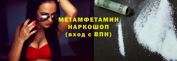 сатива Беломорск