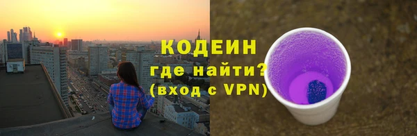 сатива Беломорск