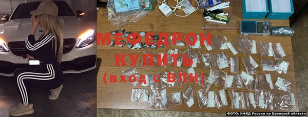 сатива Беломорск