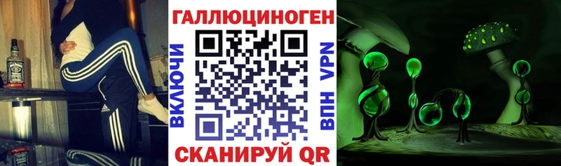 закладка  Белоусово  Галлюциногенные грибы GOLDEN TEACHER 