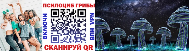 Псилоцибиновые грибы Psilocybine cubensis Белоусово
